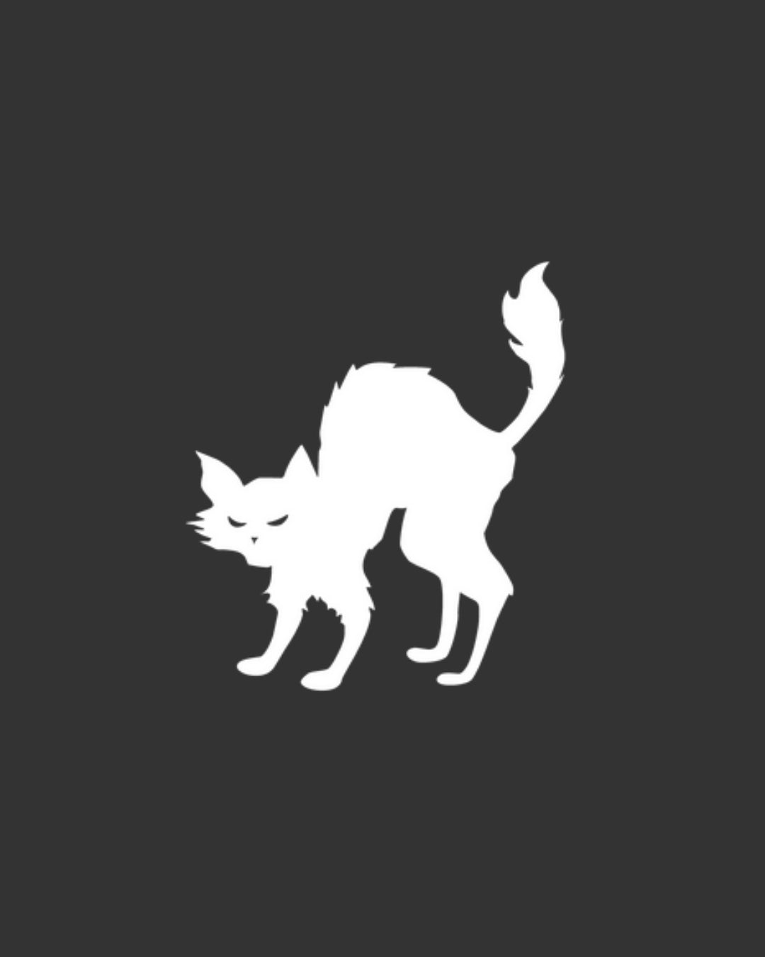 Team Black Cat - Partner Apanage Days Berlin 2025